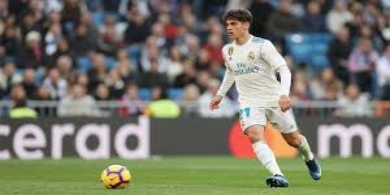 职业生涯启示与反思-华体会体育