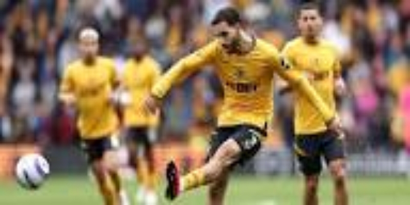 狼队战略布局与未来前景，华体会体育前瞻分析- 华体会体育