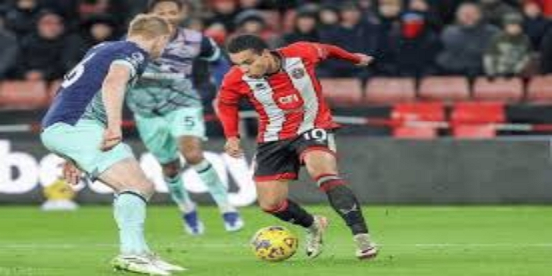 战术层面解析：蜂群围攻白玫瑰 - 华体会体育