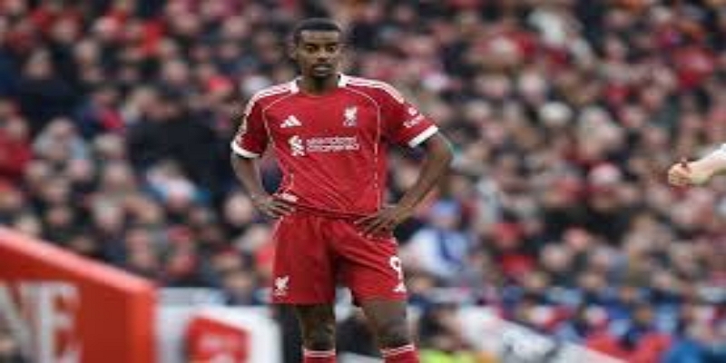 比利时联赛的新起点：华体会体育解析贝拉希诺的转型契机-华体会体育