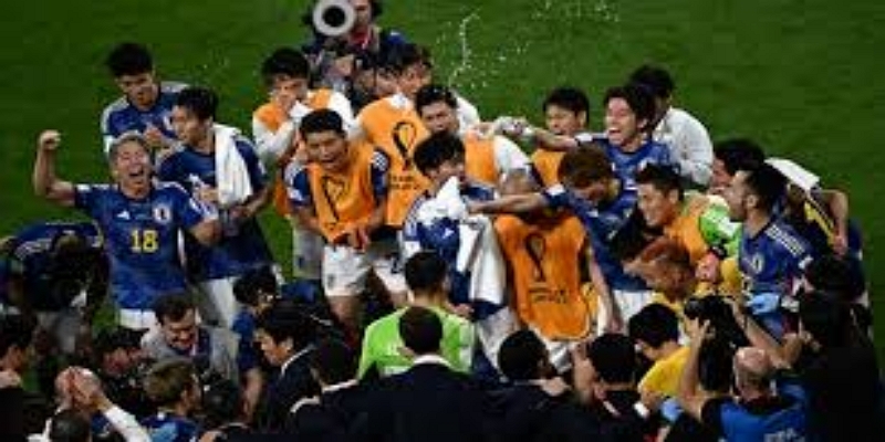 降价背后的原因- 华体会体育