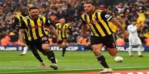 西布朗的升超补强战略-华体会体育