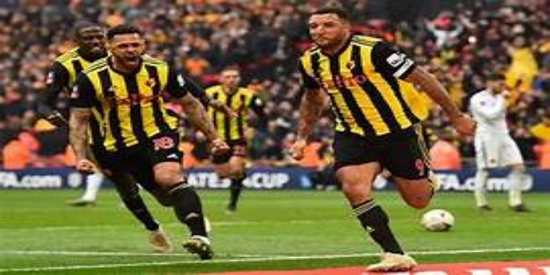 西布朗的升超补强战略-华体会体育