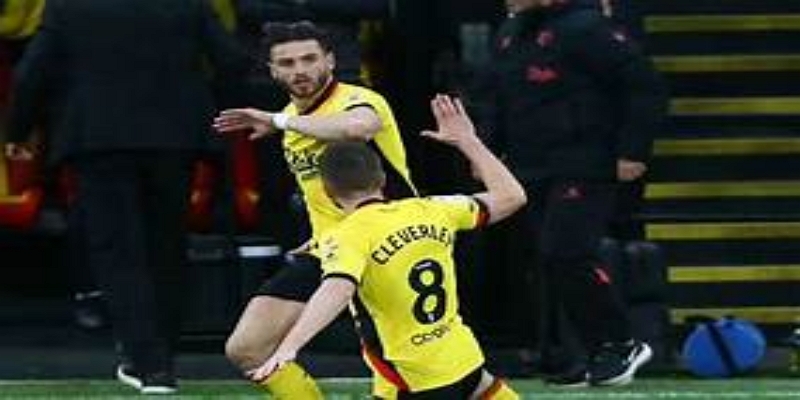 迪尼的沃特福德生涯面临转折点-华体会体育