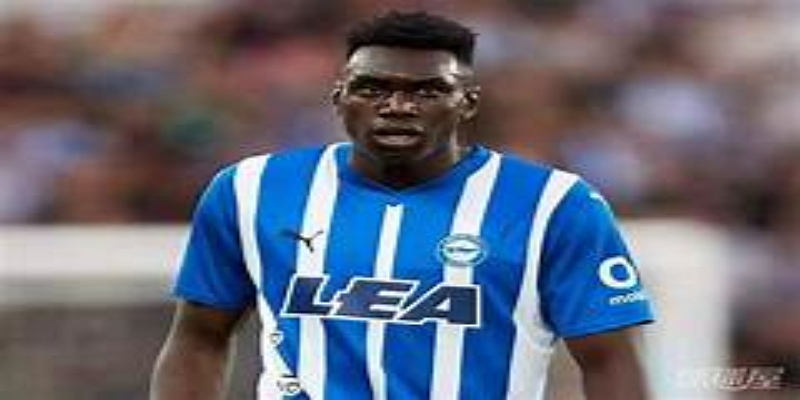 新星市场全面升温：华体会体育关注未来投资趋势-华体会体育